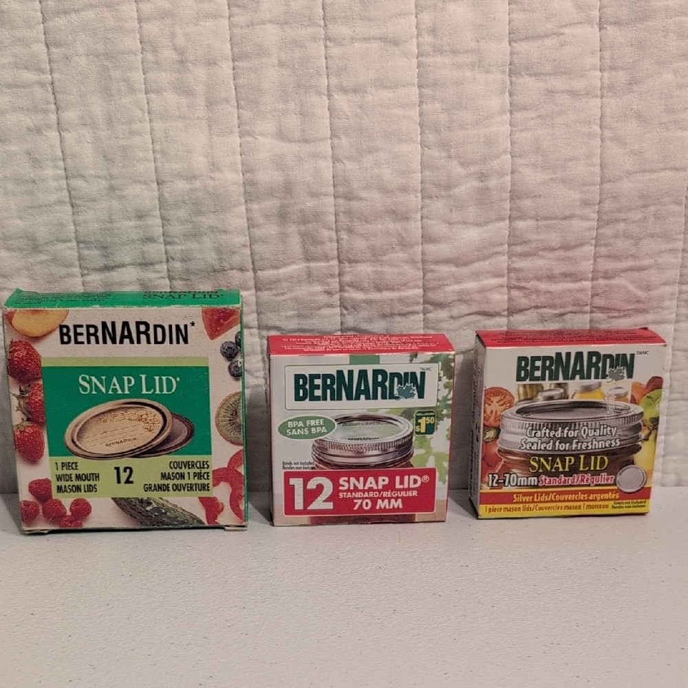 3x Bernardin Snap Lid Set